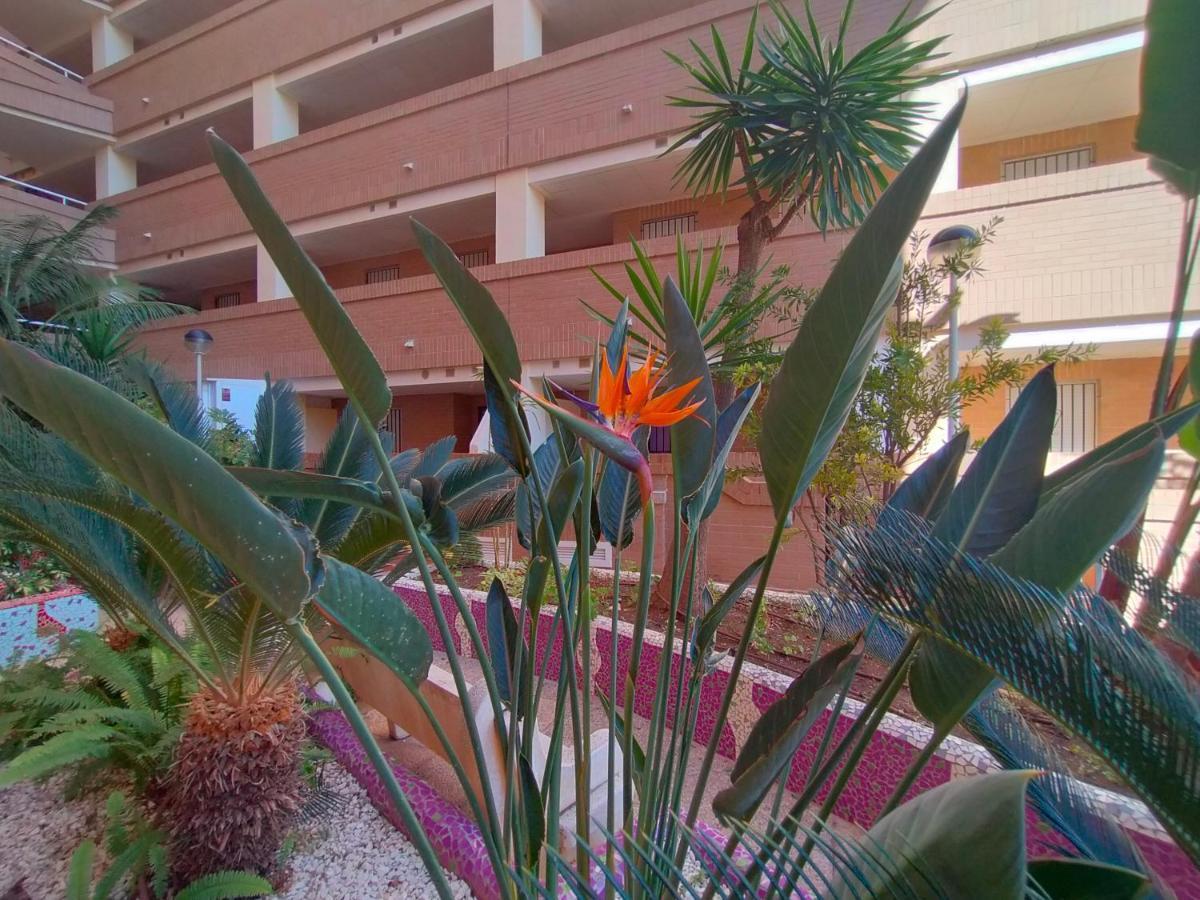 Appartamento Acv - Costa Caribe I-2ª Linea Planta 1 Sur Oropesa del Mar Esterno foto